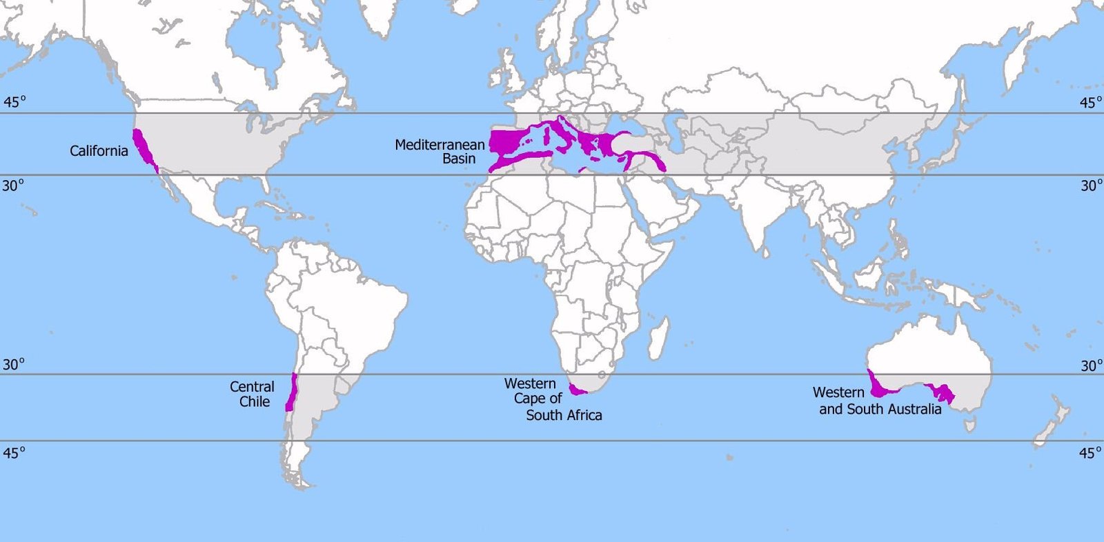 World map highlighting the five Mediterranean climate regions